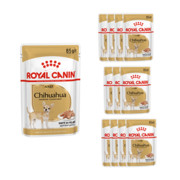 Royal Canin Adult Chihuahua 12x85g + prezent ROYAL CANIN
