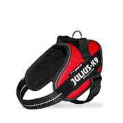 Julius-K9 Szelki dla psa mini czerwone 49–67cm / 22 mm + prezent JULIUS K9