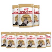 Royal Canin Persian Adult 12x85g + prezent ROYAL CANIN