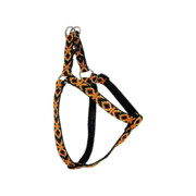 Chaba Szelki regulowane ozdobne czarne [rozmiar 1] 10mm/40cm + prezent CHABA