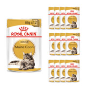 Royal Canin Maine Coon Adult w sosie 12x85g + prezent ROYAL CANIN