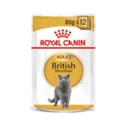 Royal Canin British Shorthair Adult w sosie 12x85g + prezent ROYAL CANIN