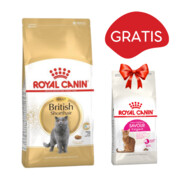 ROYAL CANIN British Shorthair 10kg + Royal Canin Savour Exigent FHN 35/30 400g GRATIS + prezent ROYAL CANIN