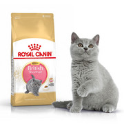 Royal Canin Kitten British Shorthair 400g + prezent ROYAL CANIN