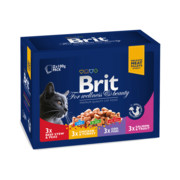 Brit Premium Family Plate 100g x 12 (multipak x 1) + prezent BRIT