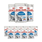 Royal Canin Indoor Sterilised Feline w galaretce 12x85g + prezent ROYAL CANIN