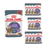 Royal Canin Sterilised Appetite Control FHN w sosie 12x85g + prezent ROYAL CANIN
