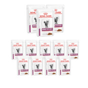 Royal Canin Veterinary Diet Feline Renal z wołowiną 85g x 12 + prezent ROYAL CANIN