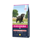 Eukanuba Caring Senior Large & Giant Breed 15kg + prezent EUKANUBA
