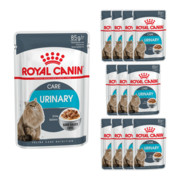 Royal Canin Urinary Care FHN Feline w sosie 12x85g + prezent ROYAL CANIN