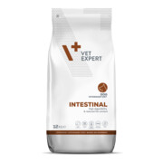 VetExpert Veterinary Diet Intestinal 12kg + prezent VETEXPERT
