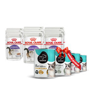 Royal Canin Sterilised Feline FHN w sosie 85g x 12 + Koema mus dla kota Pakiet próbny 400g x 4 + prezent ROYAL CANIN