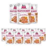 Brit Care Cat Pouch Fileciki w sosie z łososiem 12x85g + prezent BRIT