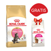 Royal Canin Maine Coon Kitten 4kg + Royal Canin Savour Exigent FHN 35/30 400g GRATIS + prezent ROYAL CANIN