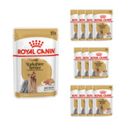 Royal Canin Adult Yorkshire Terrier 12x85g + prezent ROYAL CANIN