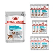 Royal Canin Urinary Care CCN in loaf (pasztet) 12x85g + prezent ROYAL CANIN
