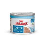 Royal Canin Starter Mousse Mother & Babydog 12x195g + prezent ROYAL CANIN