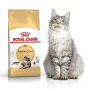 ROYAL CANIN Maine Coon Adult 4kg