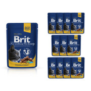 Brit Premium Cat kurczak i indyk 12x100g + prezent BRIT