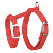 Trixie Szelki i smycz dla kota z odblaskową nicią 27-35cm/1,3m + prezent TRIXIE