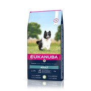 Eukanuba Adult Small & Medium Breed Lamb & Rice 12kg + prezent EUKANUBA