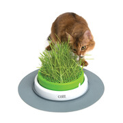 Catit Senses Zestaw do hodowli trawy 37cm + prezent HAGEN CATIT