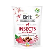 Brit Crunchy Cracker Insect & Lamb 200g + prezent BRIT