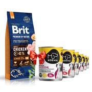 Brit Premium By Nature Senior Small/Medium S+M 15kg + Koema mix 3 smaków 400g x 6 + prezent BRIT