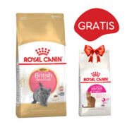 Royal Canin Kitten British Shorthair 2kg + Royal Canin Savour Exigent FHN 35/30 400g GRATIS + prezent ROYAL CANIN