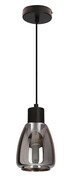 Nowoczesna wisząca lampa wisząca z bezbarwnym kloszem - D202-Semi Lumes