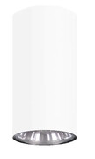 Biały spot sufitowy tuba plafon 10 cm - A733-Rimo Lumes