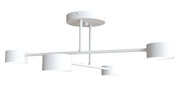 Biała industrialna lampa sufitowa - D134-Evex Lumes