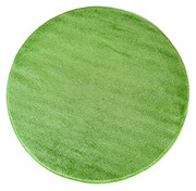 Zielony nowoczesny dywan koło - Bernis 3X 100 cm Profeos