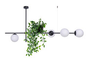 Lampa wisząca z kwietnikiem nad stół - S798-Akon Lumes