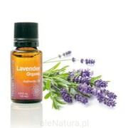 NSP Autentyczny olejek eteryczny Lavender Organic 15ml