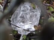 Kryształ górski - surowa bryła 10-20g