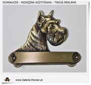 99,00 zł Schnaucer - Mosiężna wizytówka to Twoja reklama