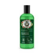 Babuszka Agafia Zielona Naturalny, pielęgnująco - oczyszczający szampon do włosów z 7 ziołami z tajgi 260 ml Babuszka Agafia