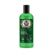 Babuszka Agafia Zielona Naturalny szampon wzmacniający i zwiększający objętość włosów z 5 dzikimi owocami 260 ml Babuszka Agafia