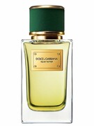 Dolce&Gabbana Velvet Vetiver woda perfumowana 100 ml Dolce & Gabbana