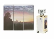 Made in Italy Emotional Olfactive Landscapes Rome unisex woda perfumowana 100 ml Made in Italy Emotional Olfactive Landscapes