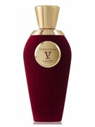 V Canto Stricnina Extrait de Parfum 100 ml V Canto