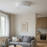 Jasnoszara lampa sufitowa do salonu DUBAJ fi - 50 cm