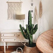 Biało-beżowa lampa stołowa do salonu w stylu boho ALASKA