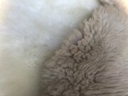 Usługa pranie - Czyszczenie + odświeżenie włosia skóry owczej Janosik