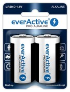 everActive Baterie LR20/D blister 2 szt. everActive