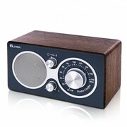 Eltra Radio CZAJKA Bluetooth szary Eltra