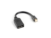 Lanberg Adapter mini Displayport (M) -> DisplayPort (F) na kablu 10cm czarny Lanberg