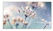 Monitor Samsung VM46B-U (LH46VMBUBGBXEN) - zdjęcie 1