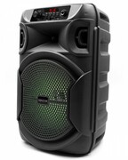 SQUEAK Głośnik Bluetooth 5.3 EDR PulseTower 1000W Funkcja Karaoke SQ1006 SQUEAK